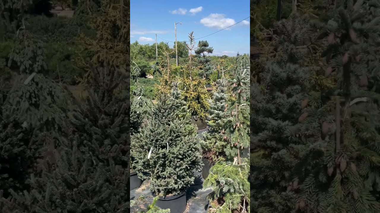 Gee farms Michigan