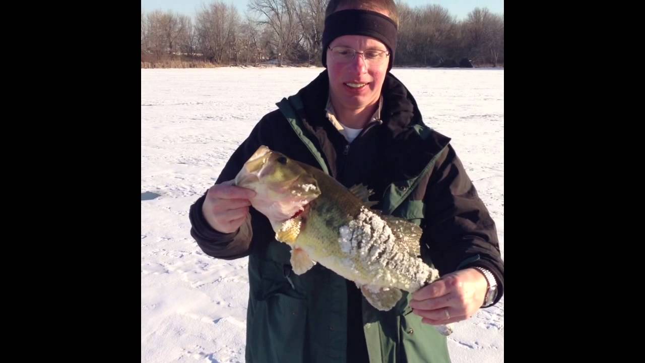 Ice Fishing in Chicago, IL YouTube
