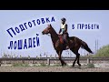 Подготовка лошадей к дистанционным конным пробегам, 2019г., Бобрица, Украина