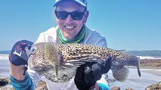 Fishing Isla Cebaco. 3 weeks on a Tropical island in the Pacific, Panama.