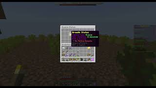 CubeCraft Java Screenshots - March 21, 2022