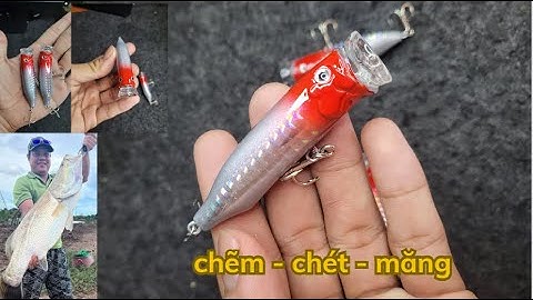 Mồi câu cá Chẽm, cá Chét, cá Măng | Mồi giả câu cá săn mồi hiệu quả tần mặt nước | Đồ Câu Cá T3 |