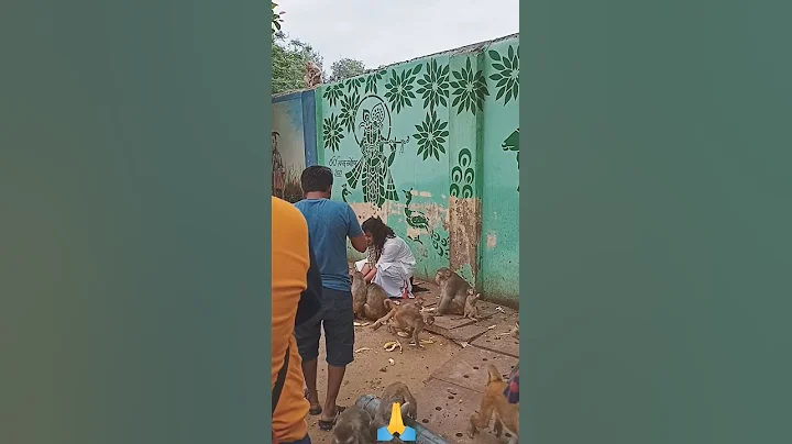 shri aniruddhacharya ji maharaj #shorts #mathura #vrindavan #shrianiruddhacharyajimaharaj