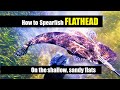 SPEARFISHING FLATHEAD | How to guide: Part 1 - skip to half way if you just want the action!