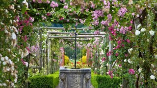English summer garden in action in Polesden Lacey #englishgarden #england #rose