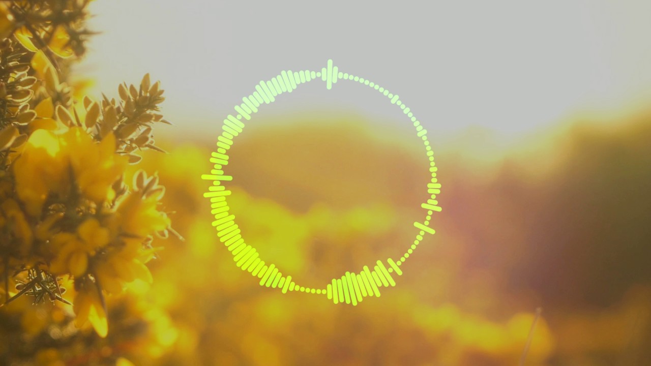 LeonWolf "Inspiration"