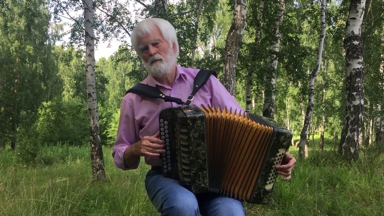 старинный вальс играет гармонист