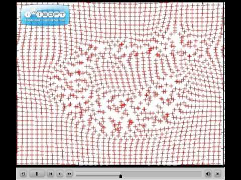 (4) fluid density=1, fluid (C++ implementation)