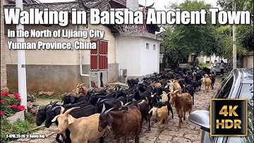China Walking Tour - Walking in Baisha Ancient Town Lijiang City Yunnan China 白沙古鎮 AMSR 4K HDR 60fps