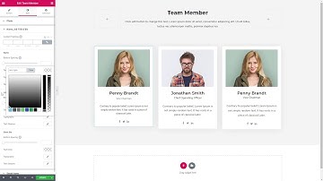 04 Team Member Widget Video
