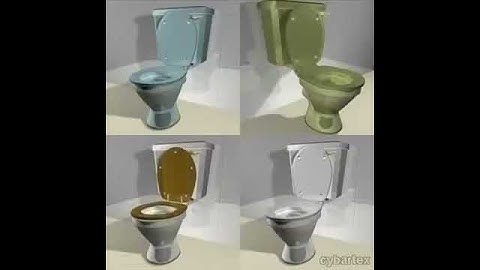 3D Model Toilet Review