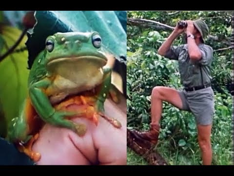 video phone beyonce mp3 Tropical Australia part 1 - Harry Butler