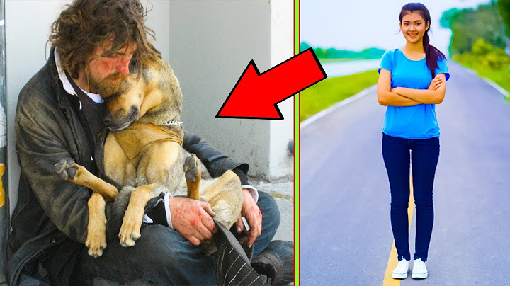 Žena Zachránila Bezdomovce před Mrazem, Bezdomovec jí Poté Zachránil Život