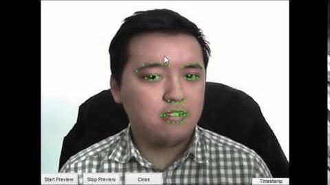 Robust and efficient face alignment