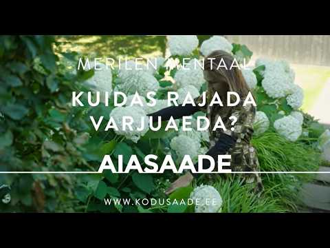 Kuidas rajada varjuaeda?Aiadisainer Merilen Mentaal