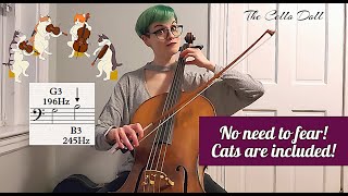 Intro to Intonation | Tips & Just vs. Equal Tuning & Science, OH MY!
