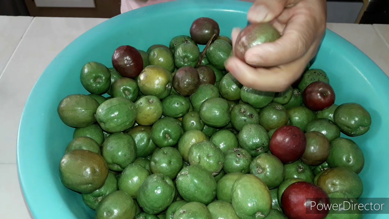 Rica conserva de ciruelas