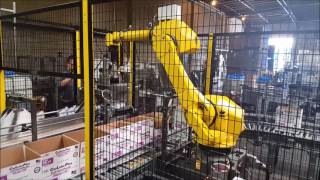 Robotic Case Packing System for Motor Oil Quart & Gallon Bottles - TransAutomation Technologies
