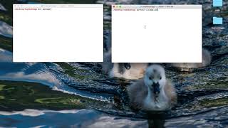 Storm: Event Stream Processing (2 Minute Presentation)