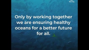 The Republic of Korea and FAO: Enhancing fisheries co-management