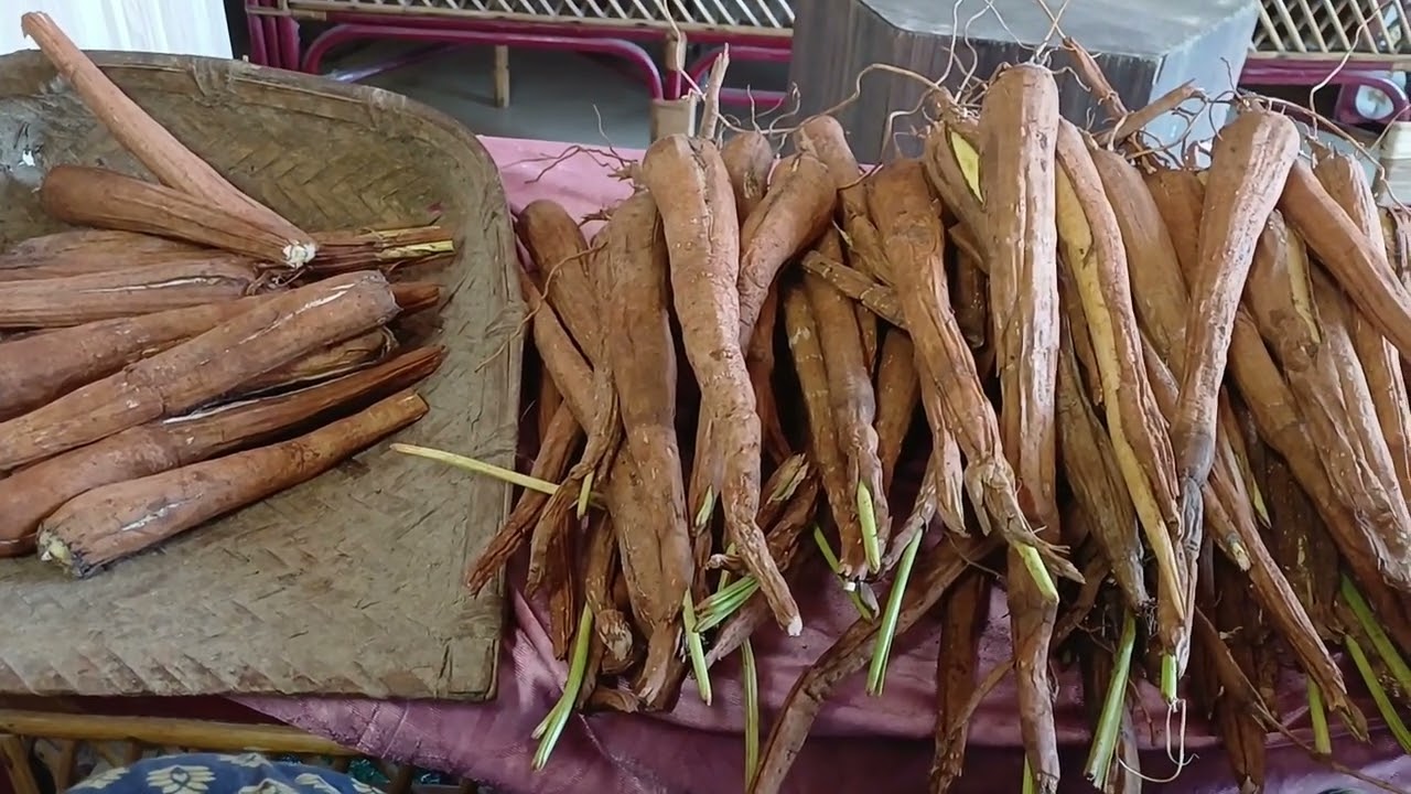 ஆரோக்கியம் தரும் பனங்கிழங்கு/சத்தான பனங்கிழங்கு பொடி  இப்படி செய்யவும்/Palmyra Sprout Health benefit