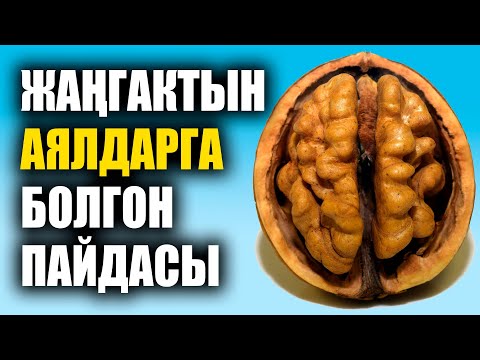 Video: Жаңгак майында жержаңгак майы барбы?