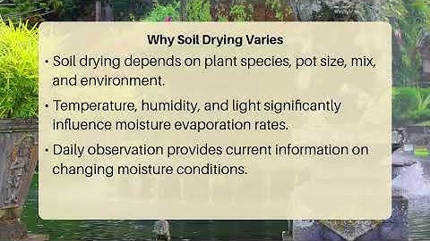 How Often Should I Check My Plant