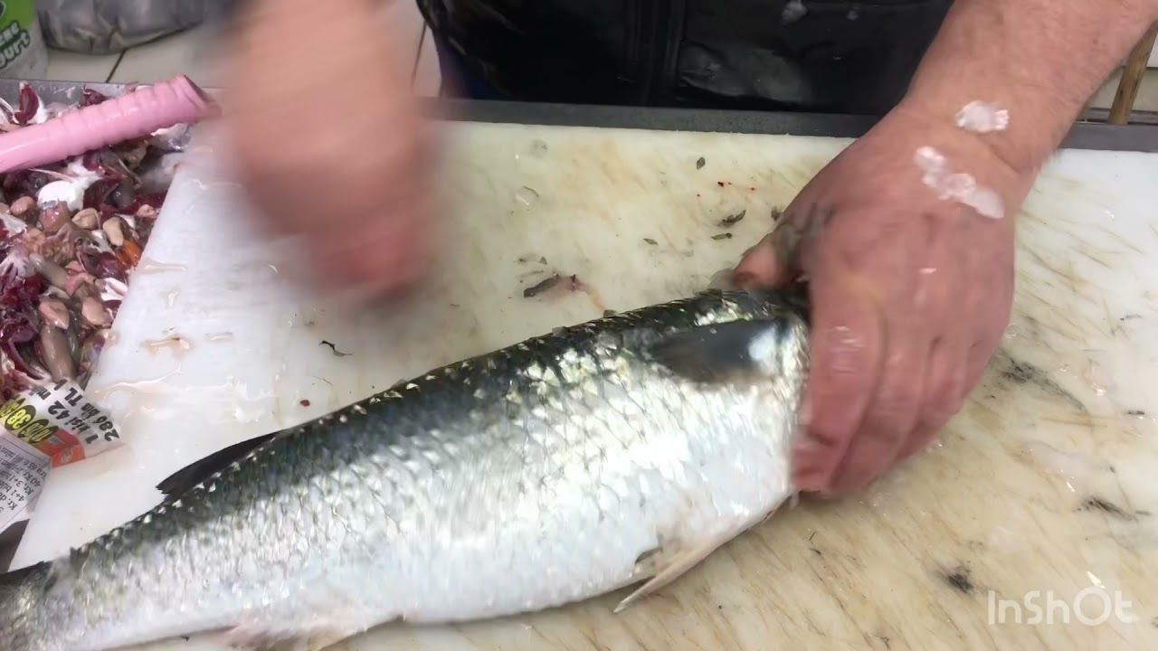 Kefal Balıgı Nasıl Temizlenir🐟🐠🐠🦈 - YouTube