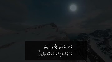 قراءة من سورة الجاثية من آية 12 حتى 20