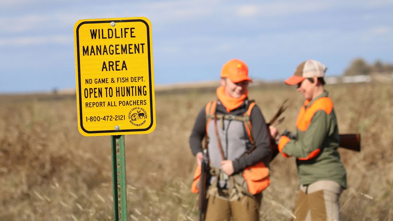 wildlife tea Opportunities on Wildlife Management Areas - NDGNF - 10-10-19