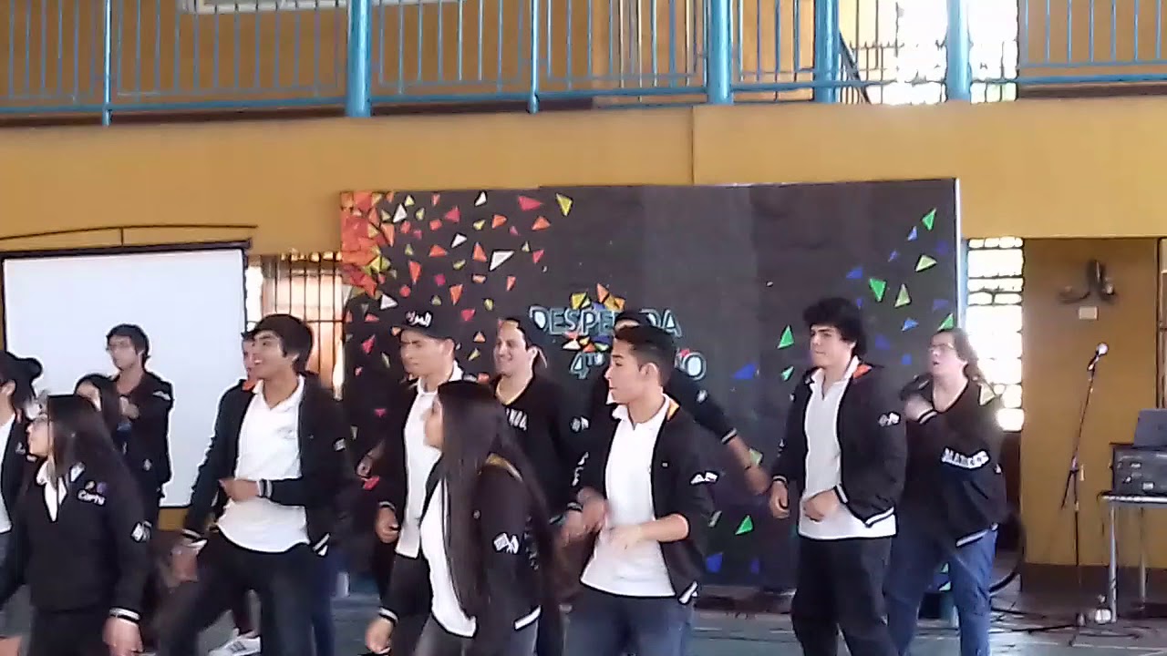 4to g2017 colegio apumanque