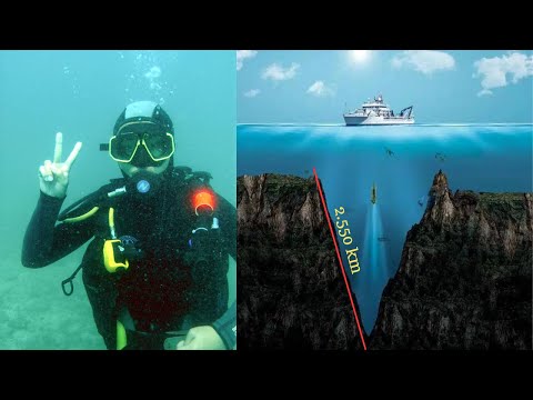 Vídeo: Os melhores destinos de mergulho do mundo
