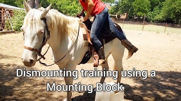 Mounting Block training - The Dismount - Making sure you