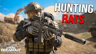 How a SOLO Hunts Rats in ABI...
