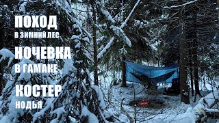 Зимний поход в лес с ночевкой | Solo bushcraft | Winter Camping