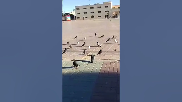 الصحراء المغربيه 🇲🇦