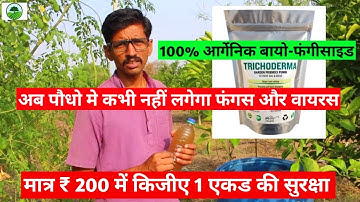 ट्रायकोडर्मा प्रयोग करनेका आसान तरीका |  ट्रायकोडर्मा  मल्टिप्लाय कैसे करें | How to use Trichoderma