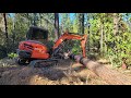 Tree busting with the kubota kx040