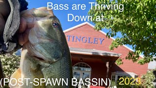 (POST-SPAWN BASSIN)at Tingley Beach in Albuquerque N.M.2023