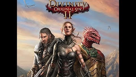 Divinity: Original Sin II (no commentary) Walkthrough the road to level 4