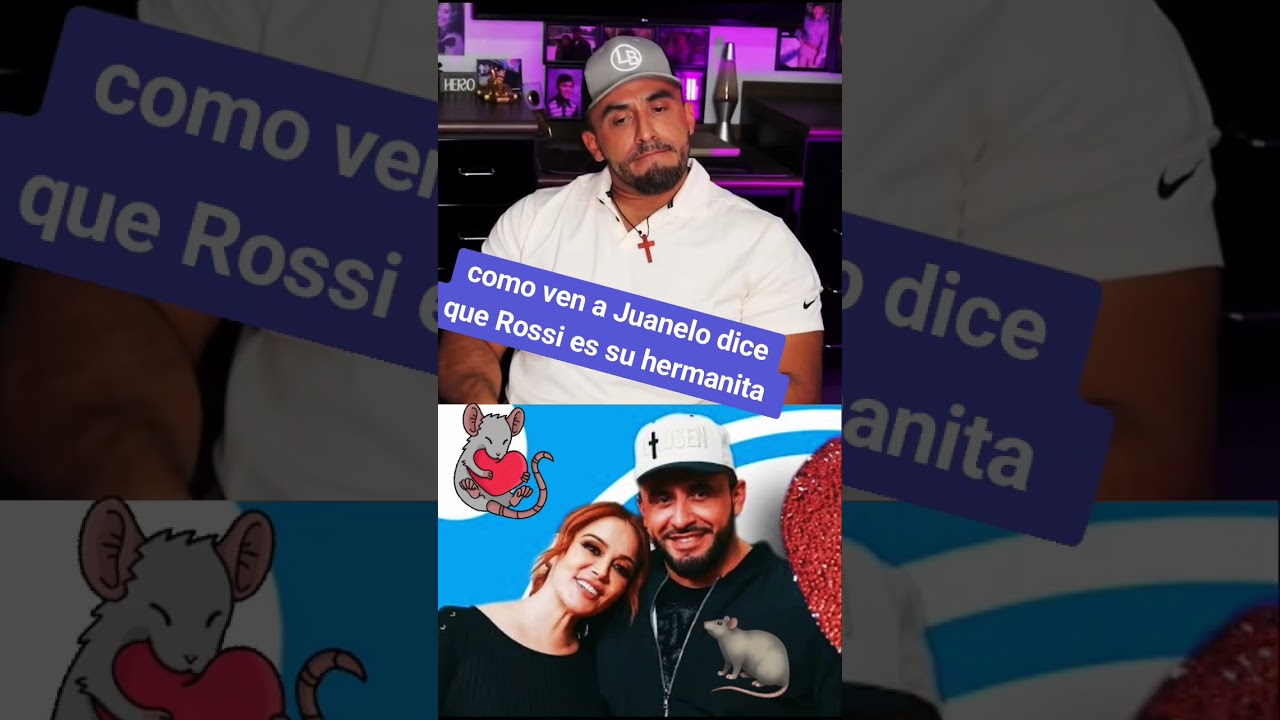 Entertainment Insights Unveiled