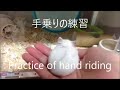 手乗りの練習 Practice of hand riding