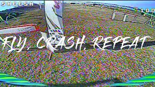 Fly, Crash, Repeat. / Trying my best