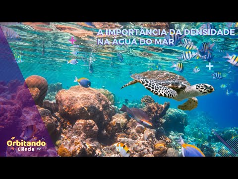 Vídeo: Por que a densidade é uma propriedade importante da água do oceano?