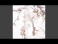 花凋 三 花凋 三