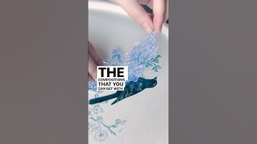 Introducing Shade & Song