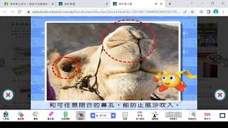 六下自然課本第三單元教學p83(3)