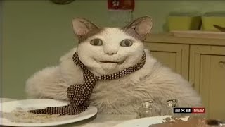 картинка: Пост Стримушка, выпуск 38