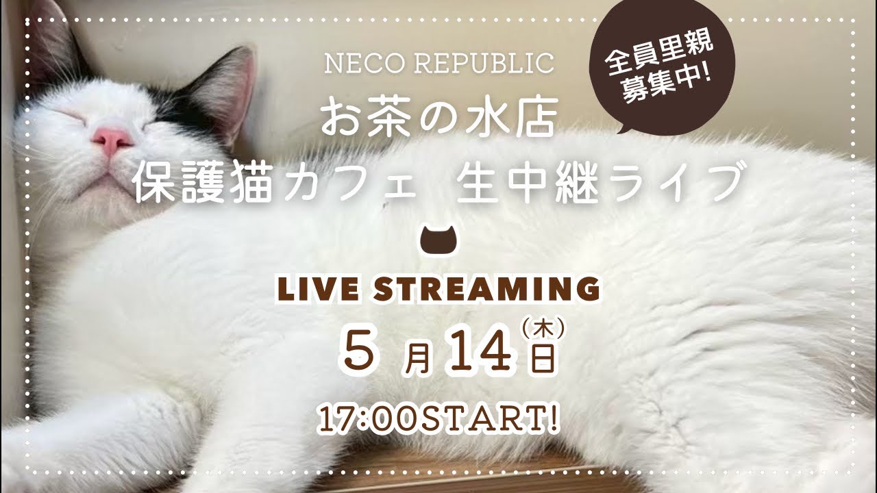 Thursday, May 14, 2026, 5 PM: Munch Time! Tokyo Ochanomizu Store Thursday, May 14, 2026, 5 PM: Munch Time! Tokyo Ochanomizu Store