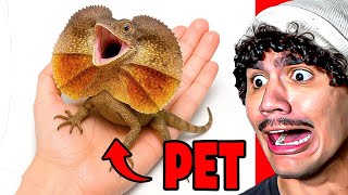 ELE ADOTOU UM DINOSSAURO DE ESTIMAÇÃO